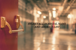 Sylhet All Hospital List 